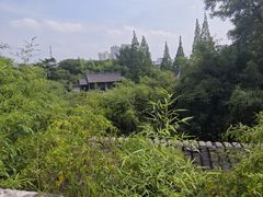 -水绘园