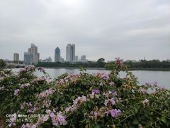 -南宁南湖公园