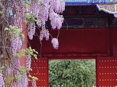 -北京国子监胡同