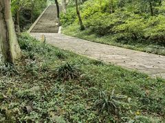 -南山风景名胜区