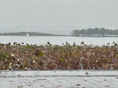 -西湖游船