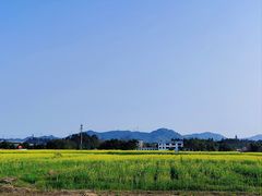 -光明小镇欢乐田园