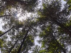 -关门山森林公园