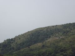 -南丫岛