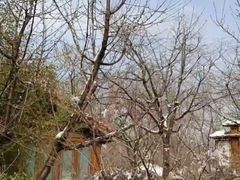 -麦积山温泉