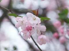 -沙湖公园