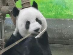 -柳州市动物园