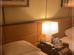 -深圳星河丽思卡尔顿酒店