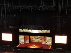 -成都金融城演艺中心