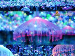 -天津梵高星空艺术馆(天河城旗舰店)