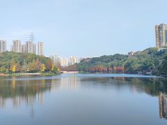-重庆彩云湖湿地公园