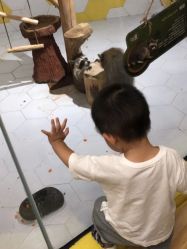-七巧国萌宠乐园(龙湖天街店)