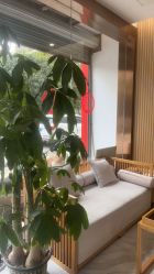 -漂亮妈妈通乳·塑形·产后恢复(奥体店)