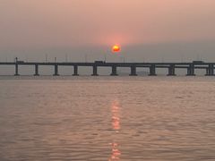 -宝安西湾红树林湿地公园