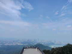 -紫金山山顶公园