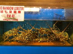 -真浪花园海鲜餐馆