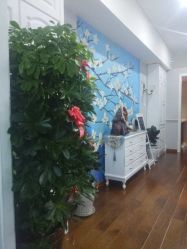 -scarlet斯卡莱美容护理机构