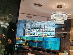 -怀德酒楼·粤菜·海鲜·茶点(宝安国际机场店)