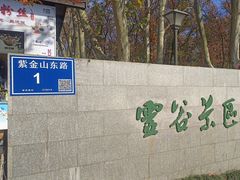 -灵谷景区