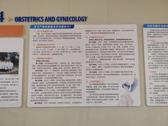 -上海市松江区泗泾医院