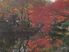 -秋霞圃