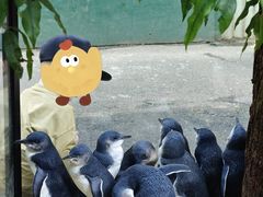 -费瑟代尔野生动物园