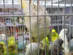 -三旗百汇商品城