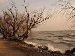 -呈贡滇池生态湿地公园