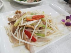 小炒菊花心-姚林轩
