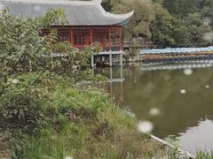 -黔灵山公园