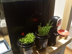 门面-白日梦奶茶