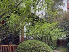 -九华山聚龙大酒店