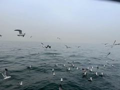 -星海广场
