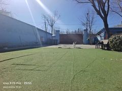 -宠物寄养训练学校