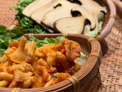 -滇野云南野生菌餐厅(陕西南路店)
