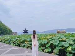 -西湖游船