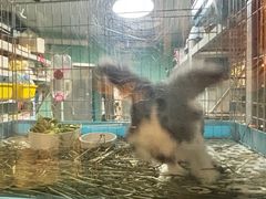 -雨林宠物医院 非犬猫异宠专科