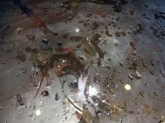 -马路边上·小海鲜烧烤(八一路店)