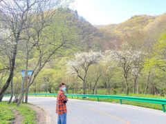 -大水川景区
