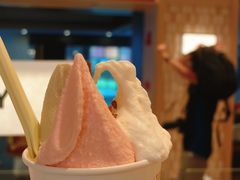 -陕拾叁-西安糕点(大雁塔店)