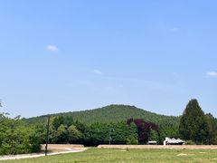 -秦始皇帝陵博物院-丽山园