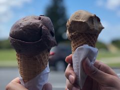 -Dooley's Premium Ice Cream