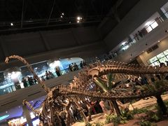 -自贡恐龙博物馆