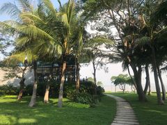 -深圳湾公园(南山区)