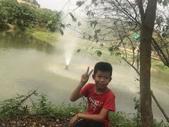 -丹樱生态园