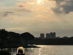 -顺峰山公园
