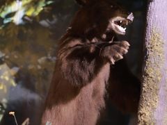 -陕西自然博物馆