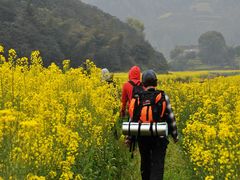 -新安江山水画廊风景区
