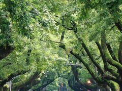 -颐和路民国时期公馆风貌区