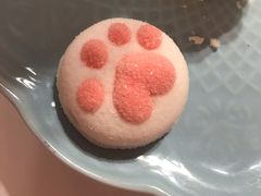 -三花喵·撸猫购宠·宠物生活馆(虹桥南丰城店)